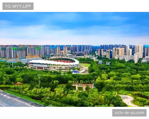 河南队主场一票难求，航体观赛体验升级需求迫切